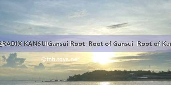 甘遂RADIX KANSUIGansui Root  Root of Gansui  Root of Kansui