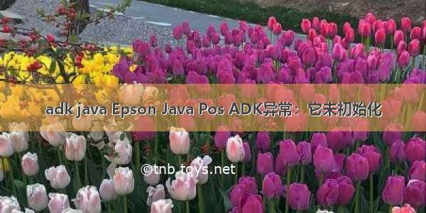 adk java Epson Java Pos ADK异常：它未初始化