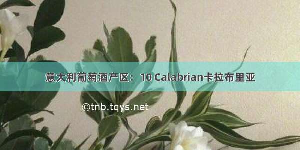 意大利葡萄酒产区：10 Calabrian卡拉布里亚