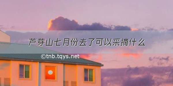 芦芽山七月份去了可以采摘什么