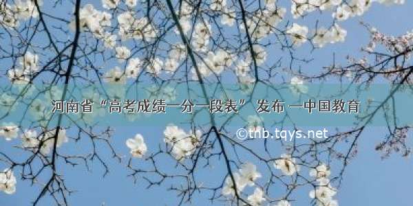 河南省“高考成绩一分一段表” 发布 —中国教育