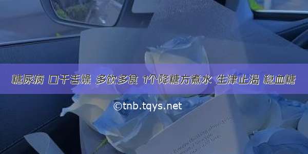 糖尿病 口干舌燥 多饮多食 1个降糖方煮水 生津止渴 稳血糖