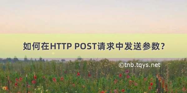 如何在HTTP POST请求中发送参数？