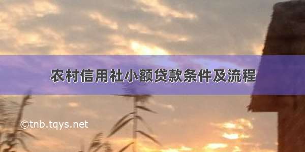 农村信用社小额贷款条件及流程