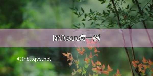 Wilson病一例