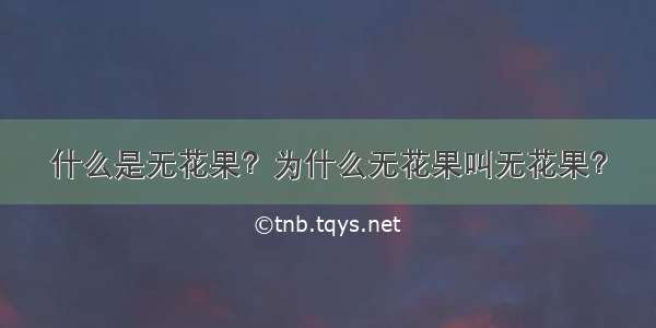 什么是无花果？为什么无花果叫无花果？