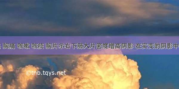 患者高热 胸痛 咳嗽 咳痰 胸片示右下肺大片密度增高阴影 在实变的阴影中间见到含