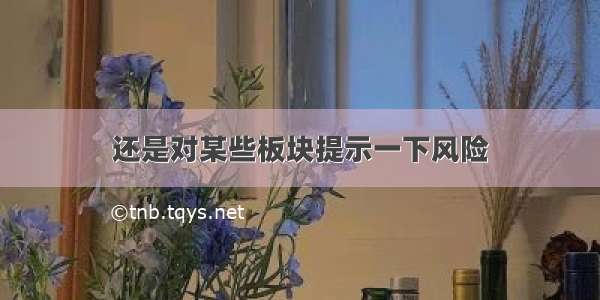 还是对某些板块提示一下风险