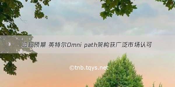 远超预期 英特尔Omni path架构获广泛市场认可