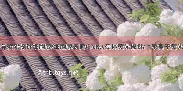 基于聚集诱导荧光探针细胞膜/细胞膜表面GABA受体荧光探针/上汞离子荧光探针的研究