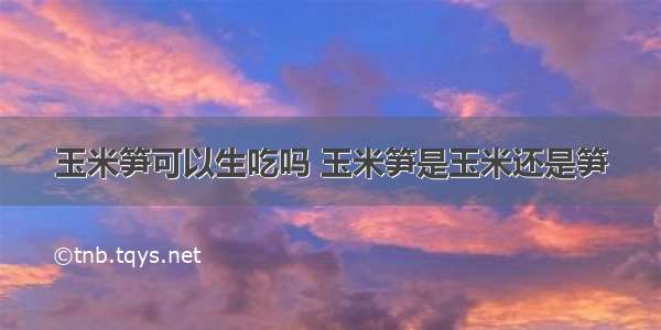 玉米笋可以生吃吗 玉米笋是玉米还是笋