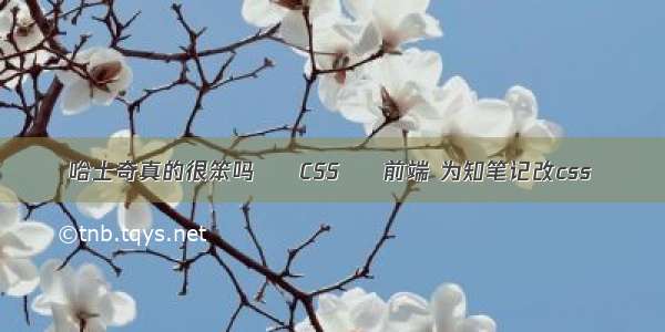 哈士奇真的很笨吗 – CSS – 前端 为知笔记改css