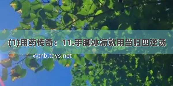 (1)用药传奇：11.手脚冰凉就用当归四逆汤