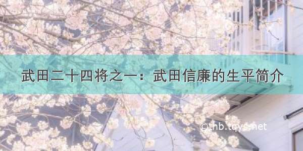 武田二十四将之一：武田信廉的生平简介