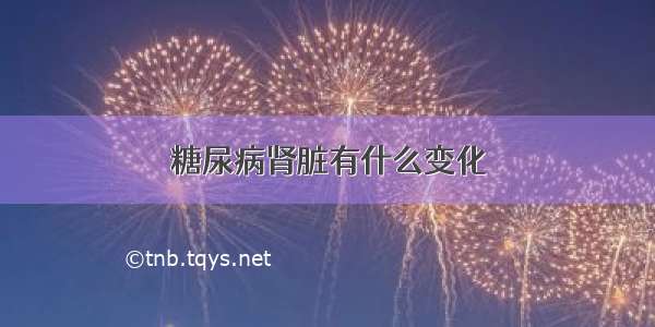 糖尿病肾脏有什么变化