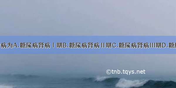 临床糖尿病肾病为A.糖尿病肾病Ⅰ期B.糖尿病肾病Ⅱ期C.糖尿病肾病Ⅲ期D.糖尿病肾病Ⅳ期