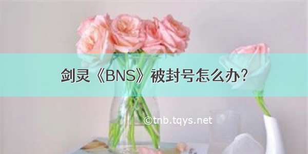 剑灵《BNS》被封号怎么办？