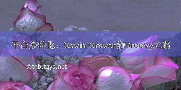 平台多样化：Gavin Grover的Groovy之路