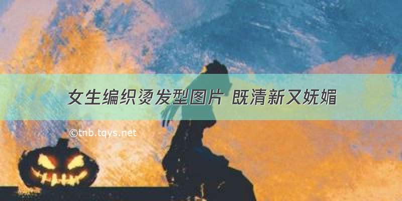 女生编织烫发型图片 既清新又妩媚