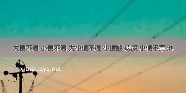 大便不通 小便不通 大小便不通 小便数 遗尿 小便不禁 淋