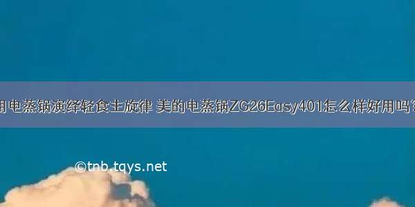 用电蒸锅演绎轻食主旋律 美的电蒸锅ZG26Easy401怎么样好用吗？