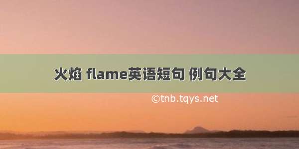 火焰 flame英语短句 例句大全