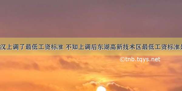 听说武汉上调了最低工资标准 不知上调后东湖高新技术区最低工资标准是多少？