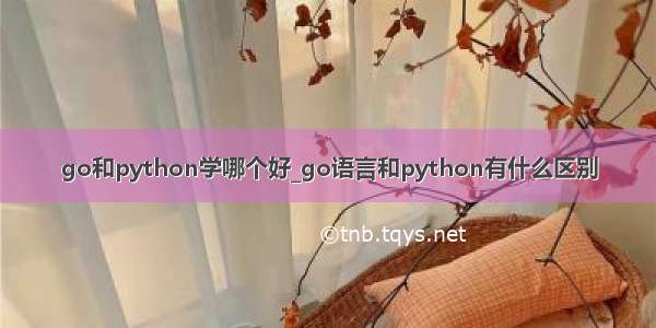 go和python学哪个好_go语言和python有什么区别