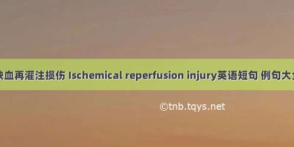 缺血再灌注损伤 Ischemical reperfusion injury英语短句 例句大全