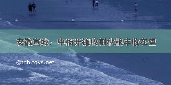 安徽宣城：中稻开镰收割秋粮丰收在望