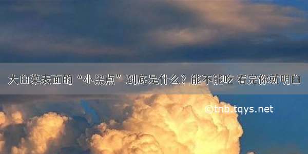 大白菜表面的“小黑点”到底是什么？能不能吃 看完你就明白