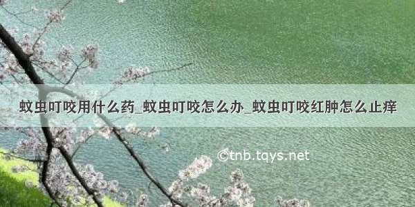 蚊虫叮咬用什么药_蚊虫叮咬怎么办_蚊虫叮咬红肿怎么止痒