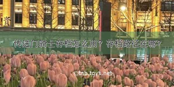 传送门骑士存档怎么用？存档路径在哪？