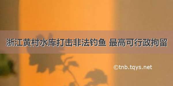 浙江黄村水库打击非法钓鱼 最高可行政拘留