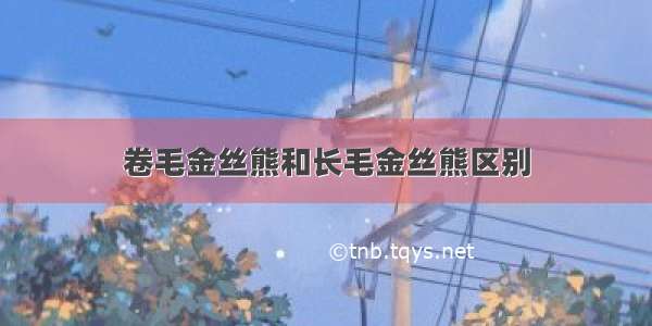 卷毛金丝熊和长毛金丝熊区别