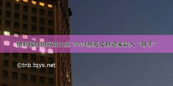 他若接任国民党主席 2024蔡英文将迎来最大“敌手”