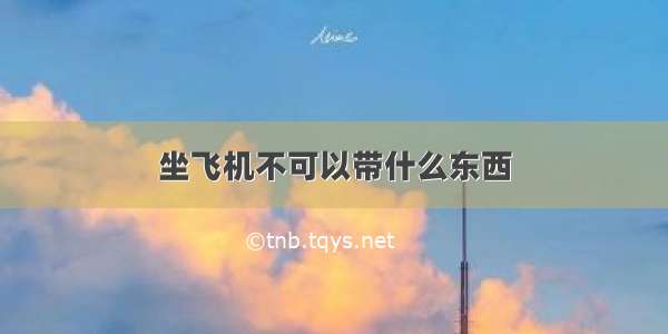 坐飞机不可以带什么东西