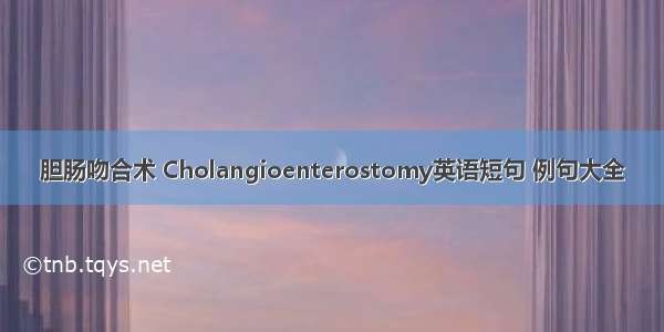 胆肠吻合术 Cholangioenterostomy英语短句 例句大全