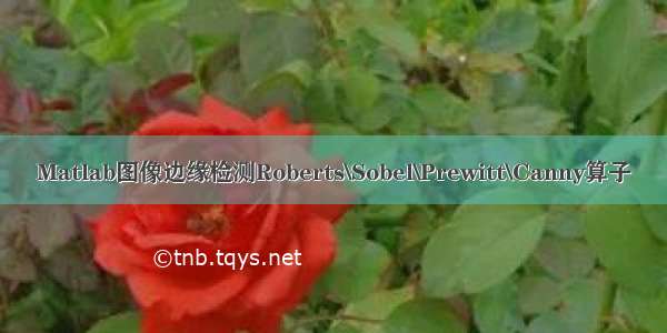 Matlab图像边缘检测Roberts\Sobel\Prewitt\Canny算子