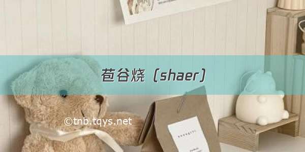 苞谷烧（shaer）