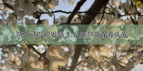 芦荟可以护发吗 怎么用芦荟保养头发