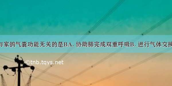 下列各项与家鸽气囊功能无关的是BA. 协助肺完成双重呼吸B. 进行气体交换C. 减轻肌