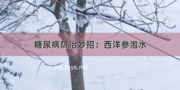 糖尿病防治妙招：西洋参泡水