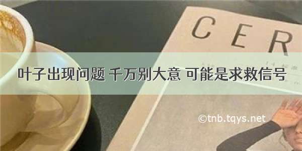 叶子出现问题 千万别大意 可能是求救信号