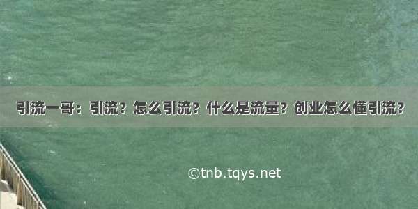 引流一哥：引流？怎么引流？什么是流量？创业怎么懂引流？