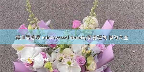 微血管密度 microvessel density英语短句 例句大全