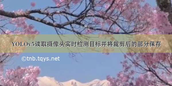 YOLOv5读取摄像头实时检测目标并将裁剪后的部分保存