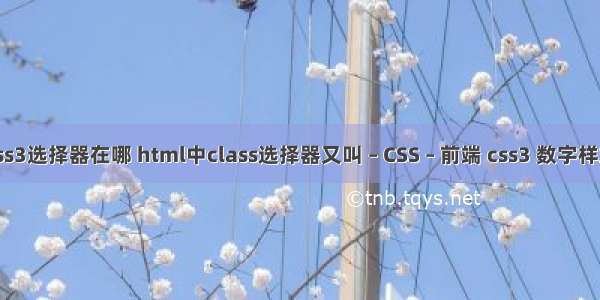 css3选择器在哪 html中class选择器又叫 – CSS – 前端 css3 数字样式