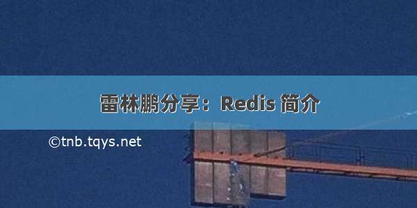 雷林鹏分享：Redis 简介