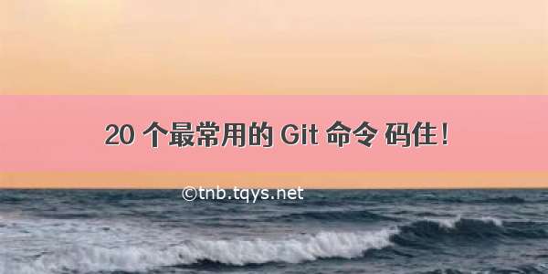 20 个最常用的 Git 命令 码住！